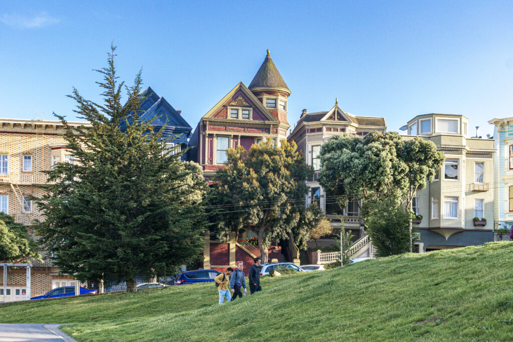 Painted Ladies