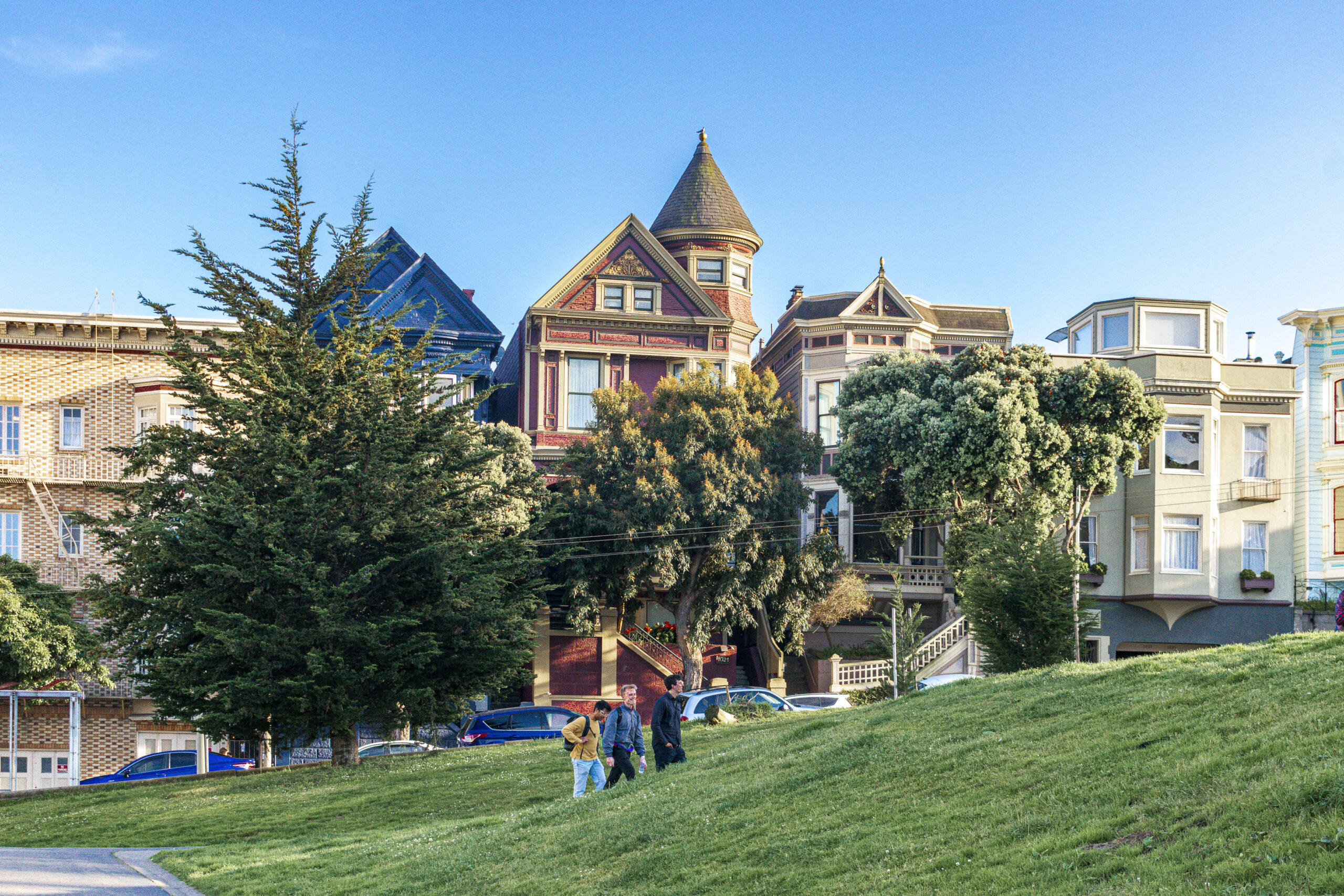 Painted Ladies Painted Ladies