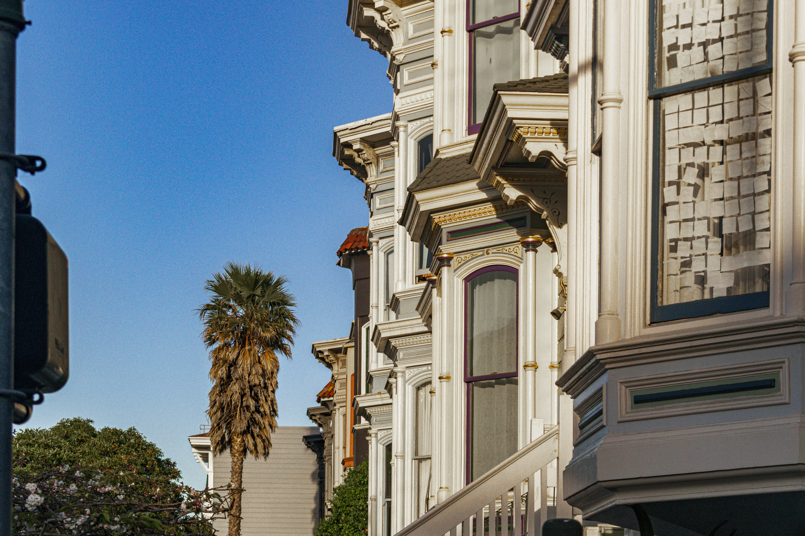 Detalhes das Painted Ladies Detalhes das Painted Ladies