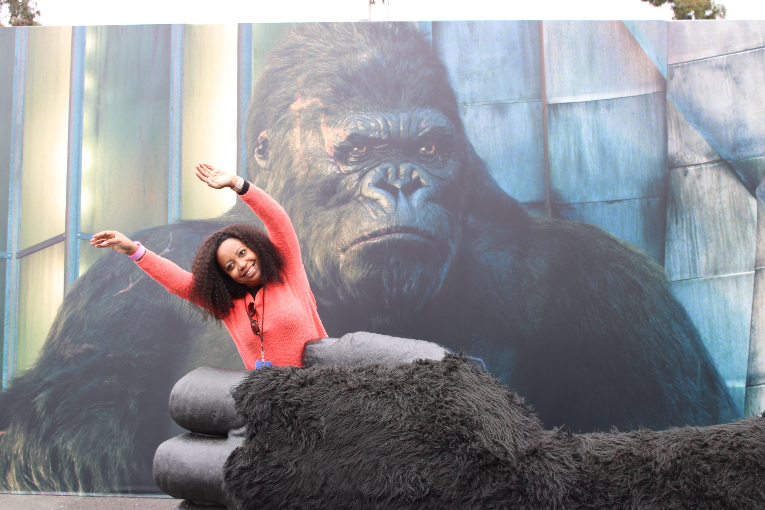 Vilmara Souza, da Agaxtur, foi levada pelo King Kong Vilmara Souza, da Agaxtur, foi levada pelo King Kong