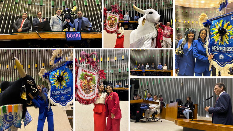 Festival de Parintins é homenageado em sessão solene na Câmara dos Deputados 1 f99c637c fbac 4886 b00f 796d38ea7d3d Festival de Parintins é homenageado em sessão solene na Câmara dos Deputados