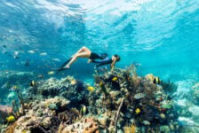 Bahamas: explore a beleza natural e os tesouros submarinos da Barreira de Recifes de Andros
