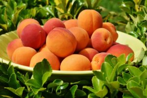 Flórida Central promove agroturismo local (Divulgação/Agência Em Foco)