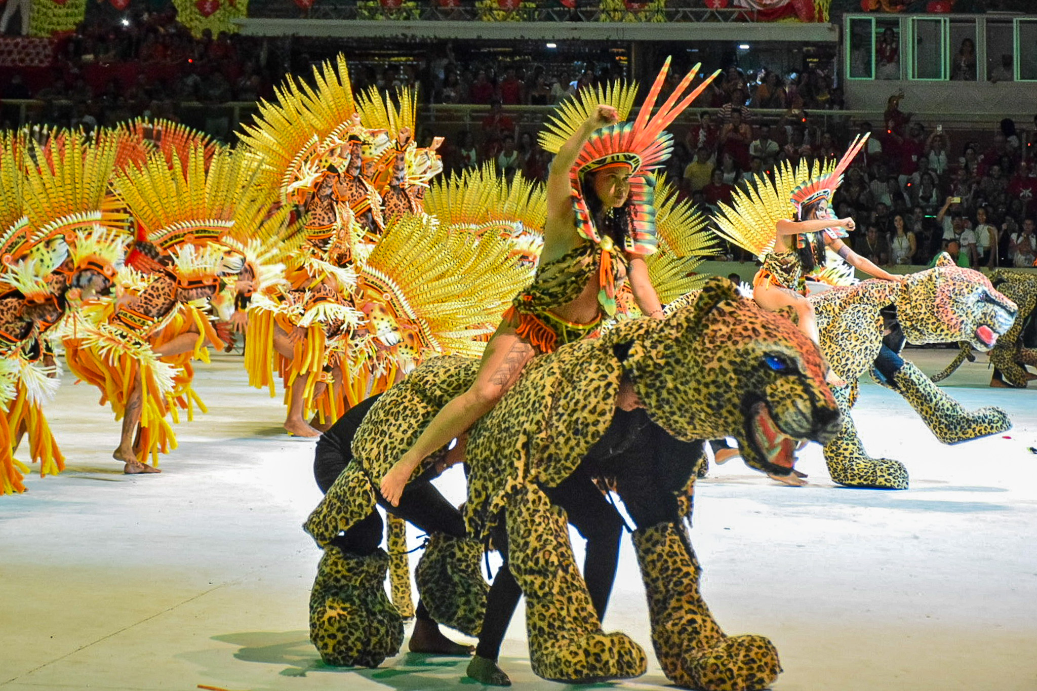 A fauna Amazônica foi representada com orgulho