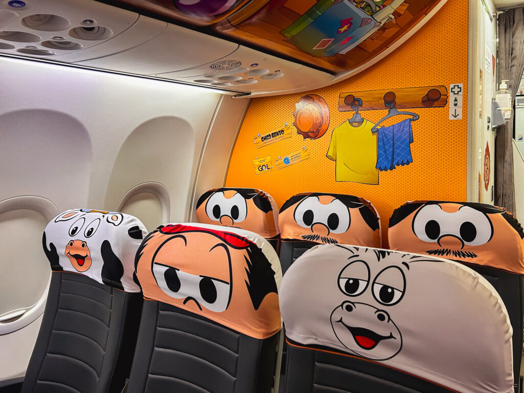 Animais da roça fazem parte da decoração do avião