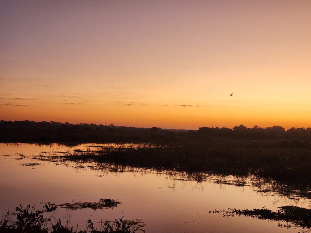 Anoitecendo no Pantanal 2 Anoitecendo no Pantanal 2