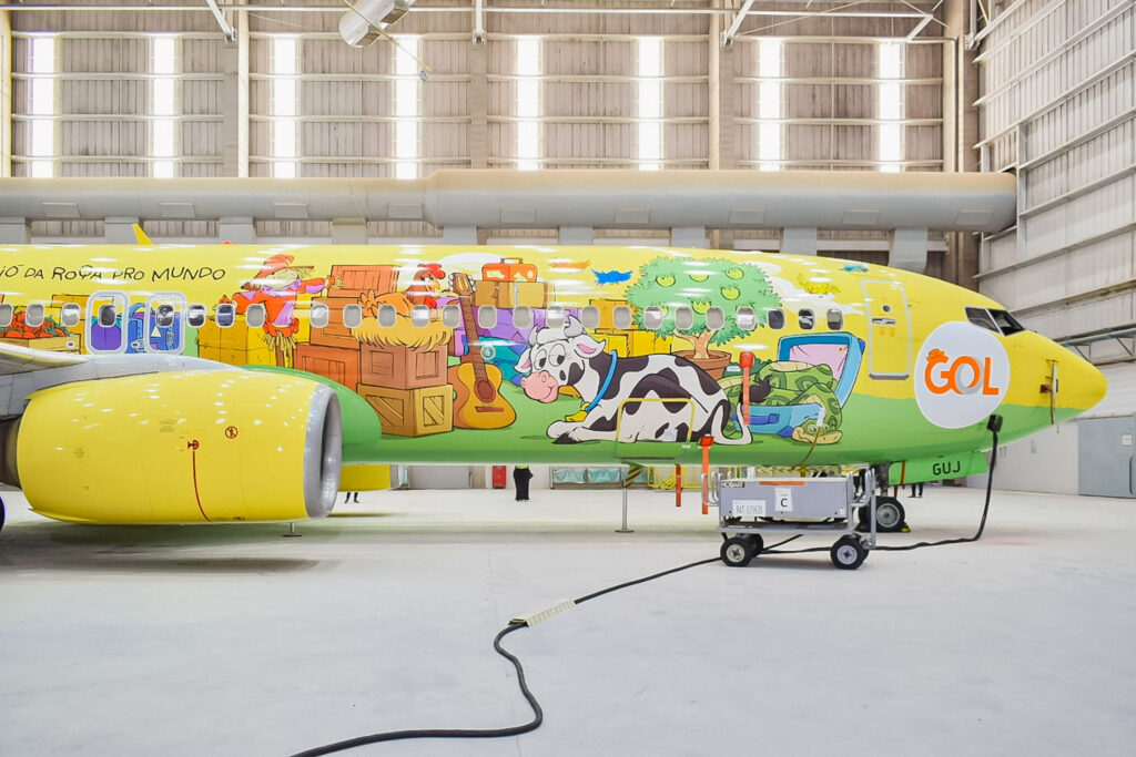 Elementos da roça estão estampados no avião