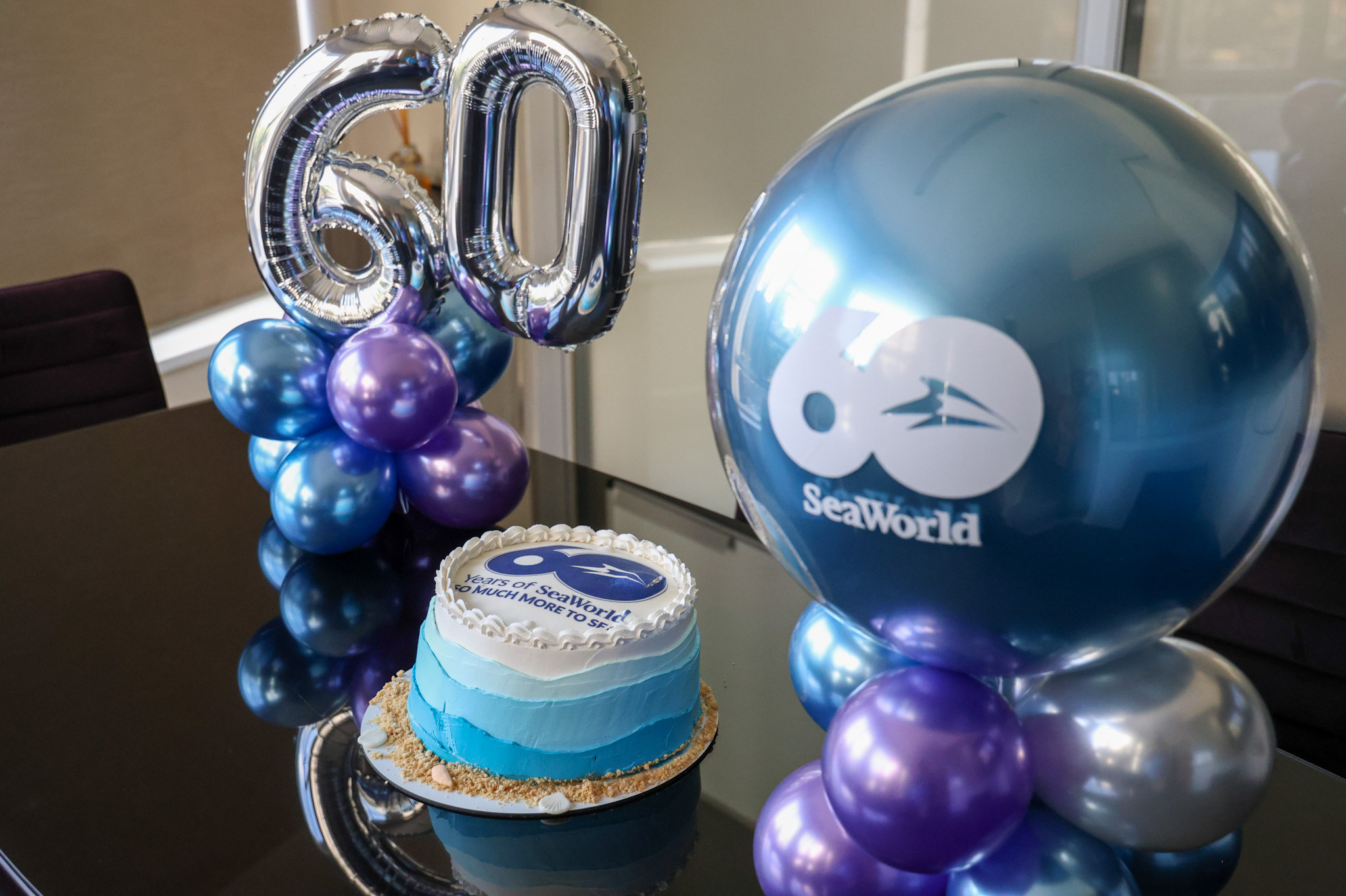 60 anos de SeaWorld, ações para 2024 e volume de vendas: United Parks compartilha novidades em visita ao M&E 2 IMG 6891 60 anos de SeaWorld, ações para 2024 e volume de vendas: United Parks compartilha novidades em visita ao M&E