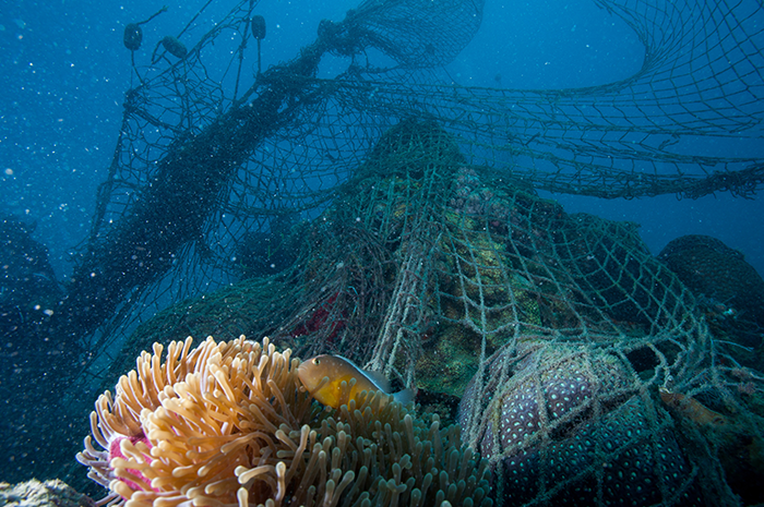 Novotel anuncia parceria para proteção do oceano com a WWF 1 Novotel WWF Novotel anuncia parceria para proteção do oceano com a WWF