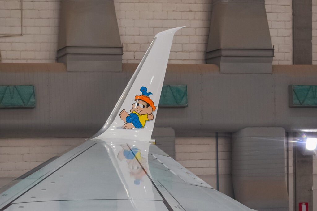 Os winglets também contam com personalização