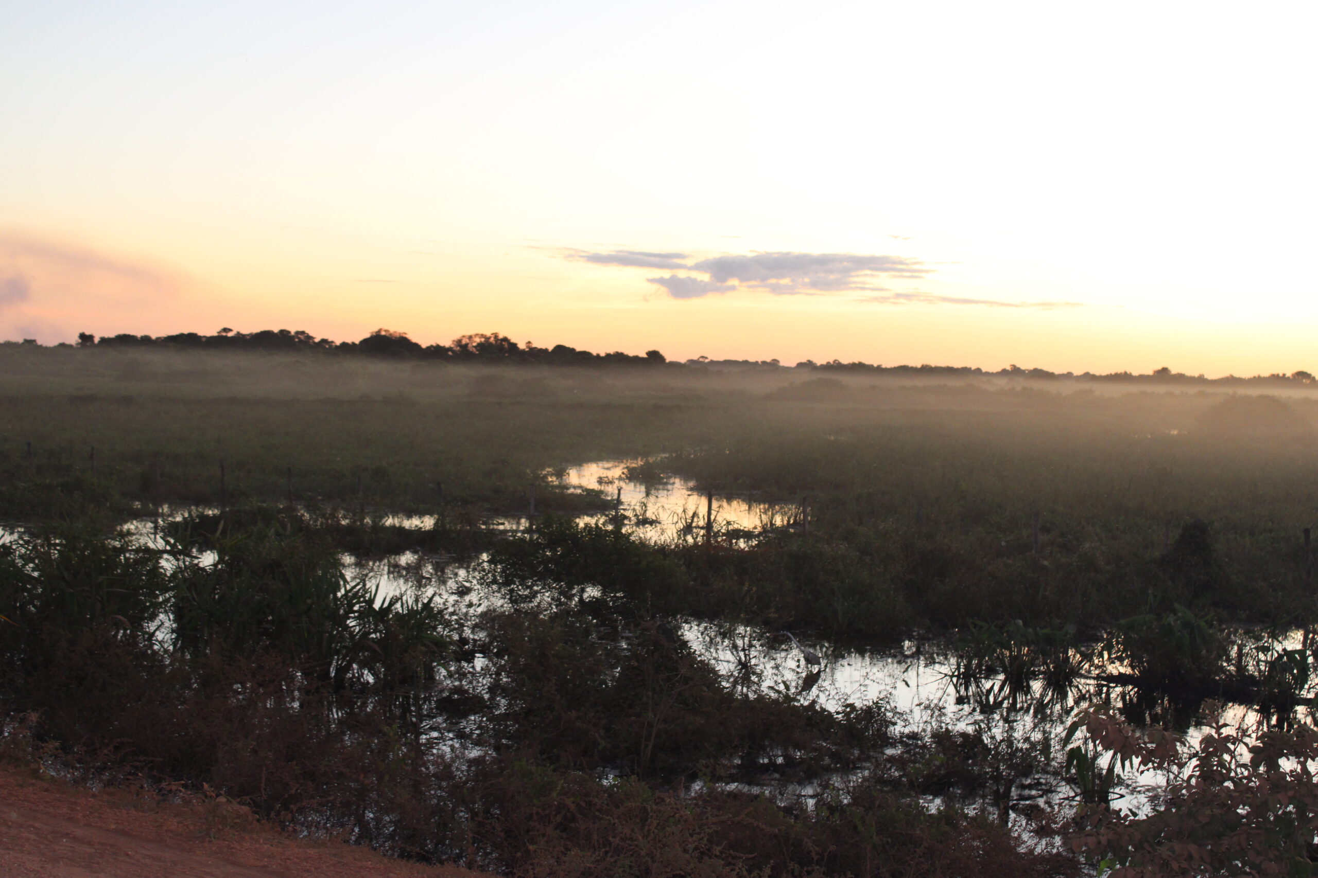 Planície alagada do Pantanal Norte Planície alagada do Pantanal Norte