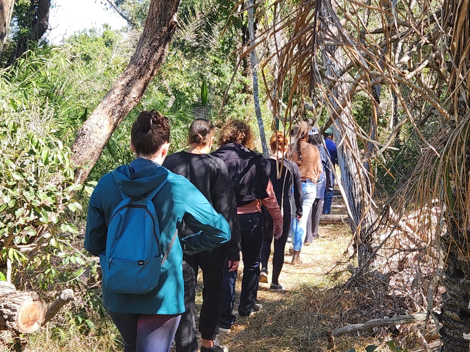 Trilhas pela natureza pantaneira Trilhas pela natureza pantaneira