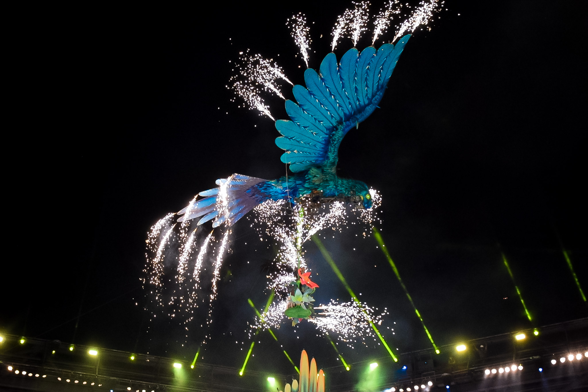 Uma arara Azul levou a cunhã do Boi Caprichoso à arena