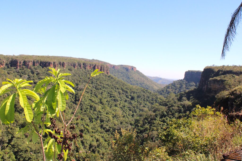Vista panorãmica dos cânions da Chapada Vista panorãmica dos cânions da Chapada