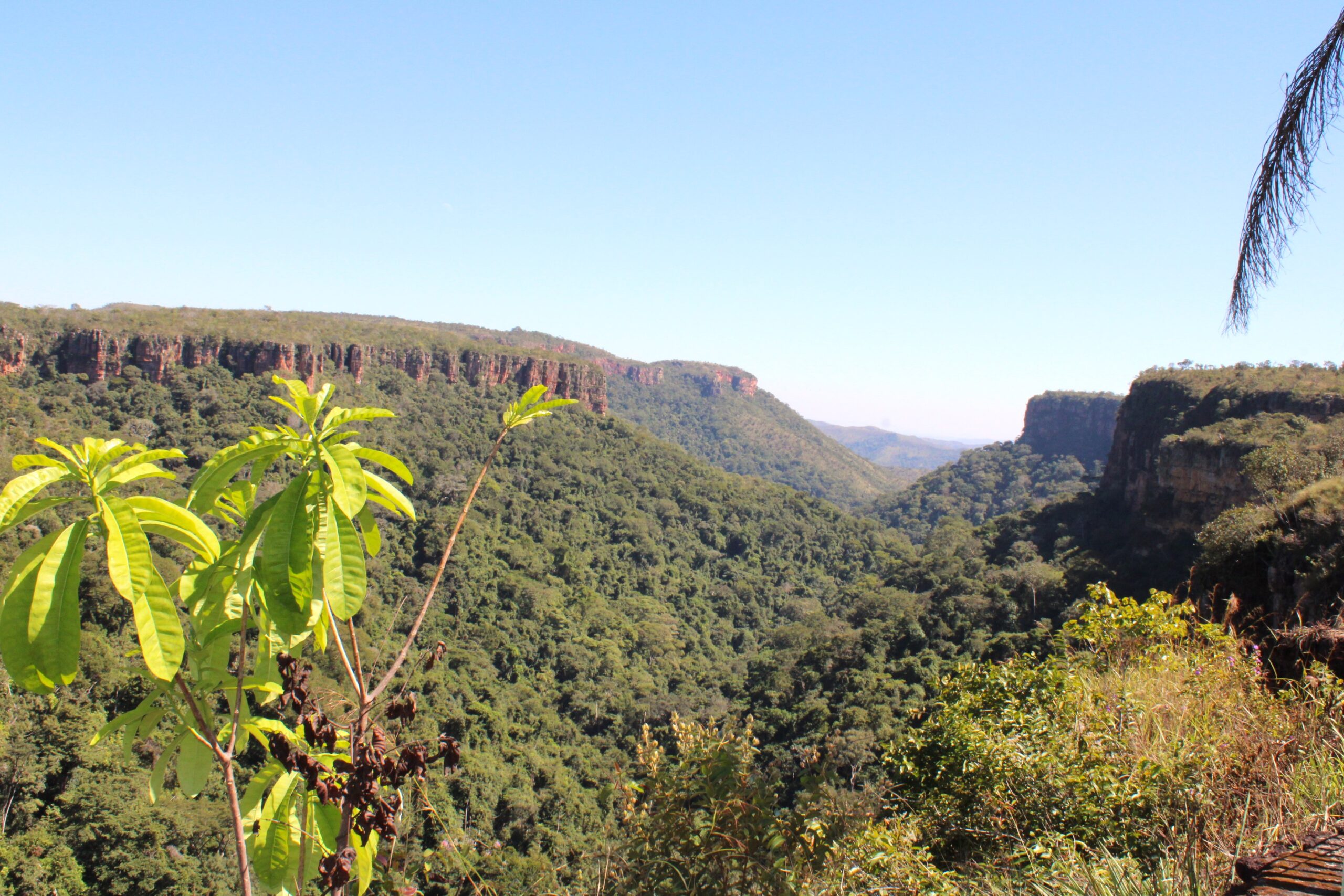 Vista panorãmica dos cânions da Chapada Vista panorãmica dos cânions da Chapada