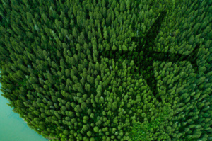 O trabalho estratégico da companhia abrange soluções para as condições climáticas em decorrência da carbonização da atmosfera (Divulgação/American Airlines)