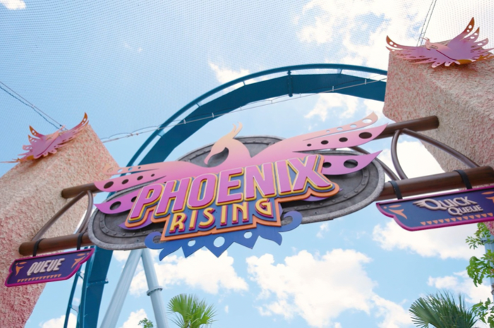 Phoenix Rising, nova montanha-russa no Busch Gardens, abrirá ao público em 21 de julho 1 Montanha-russa terá aventura suspensa e altura mínima de 1,07m (Divulgação/Busch Gardens Tampa Bay)