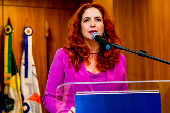 Abeoc confirma participação na 8ª edição do Salão Nacional do Turismo 1 Enid Camara ABEOC Abeoc confirma participação na 8ª edição do Salão Nacional do Turismo