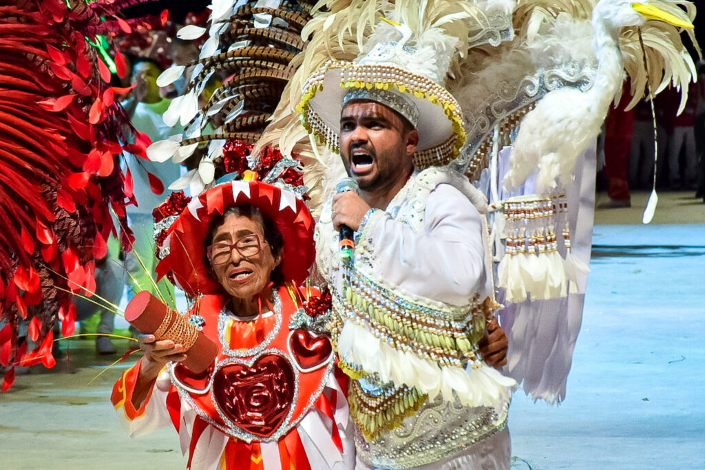 Boi Caprichoso vence Festival de Parintins 2024, conheça o enredo e veja fotos