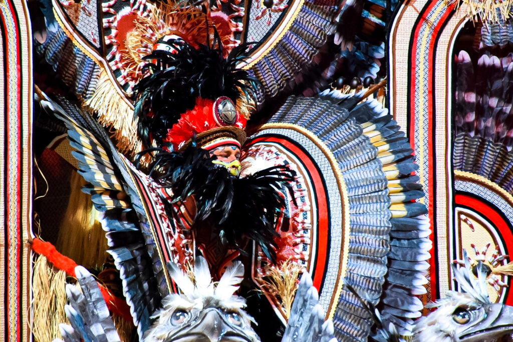 Boi Caprichoso vence Festival de Parintins 2024, conheça o enredo e veja fotos