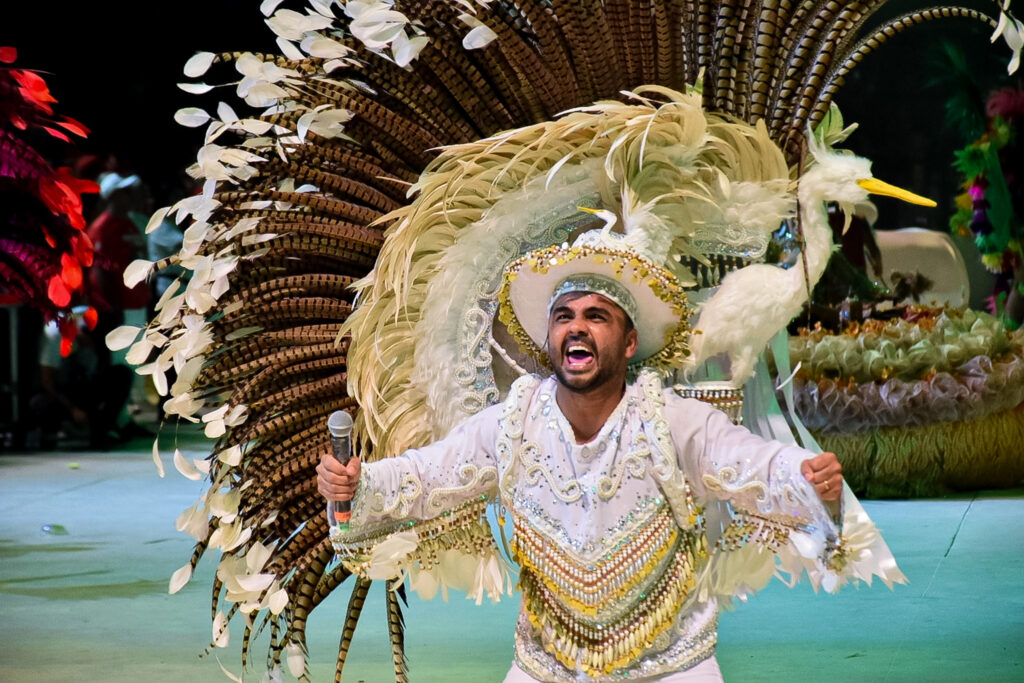 Boi Caprichoso vence Festival de Parintins 2024, conheça o enredo e veja fotos