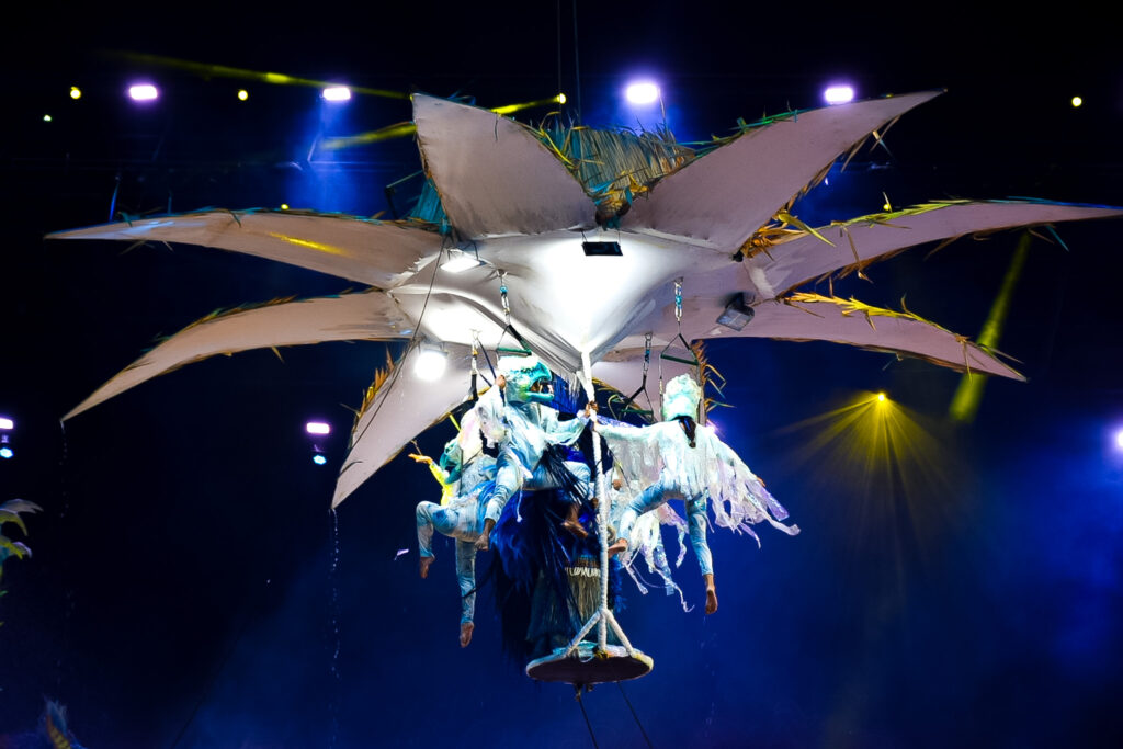 Boi Caprichoso vence Festival de Parintins 2024, conheça o enredo e veja fotos