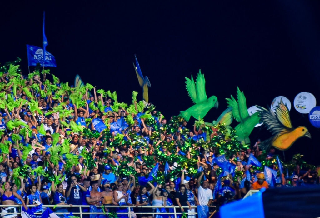 Boi Caprichoso vence Festival de Parintins 2024, conheça o enredo e veja fotos