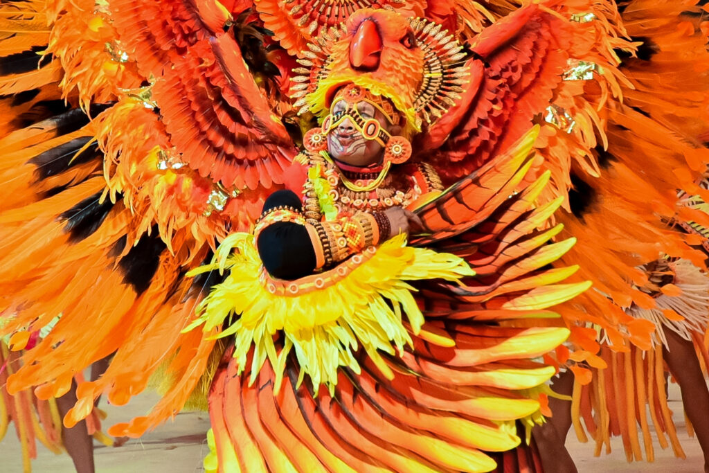 Boi Caprichoso vence Festival de Parintins 2024, conheça o enredo e veja fotos