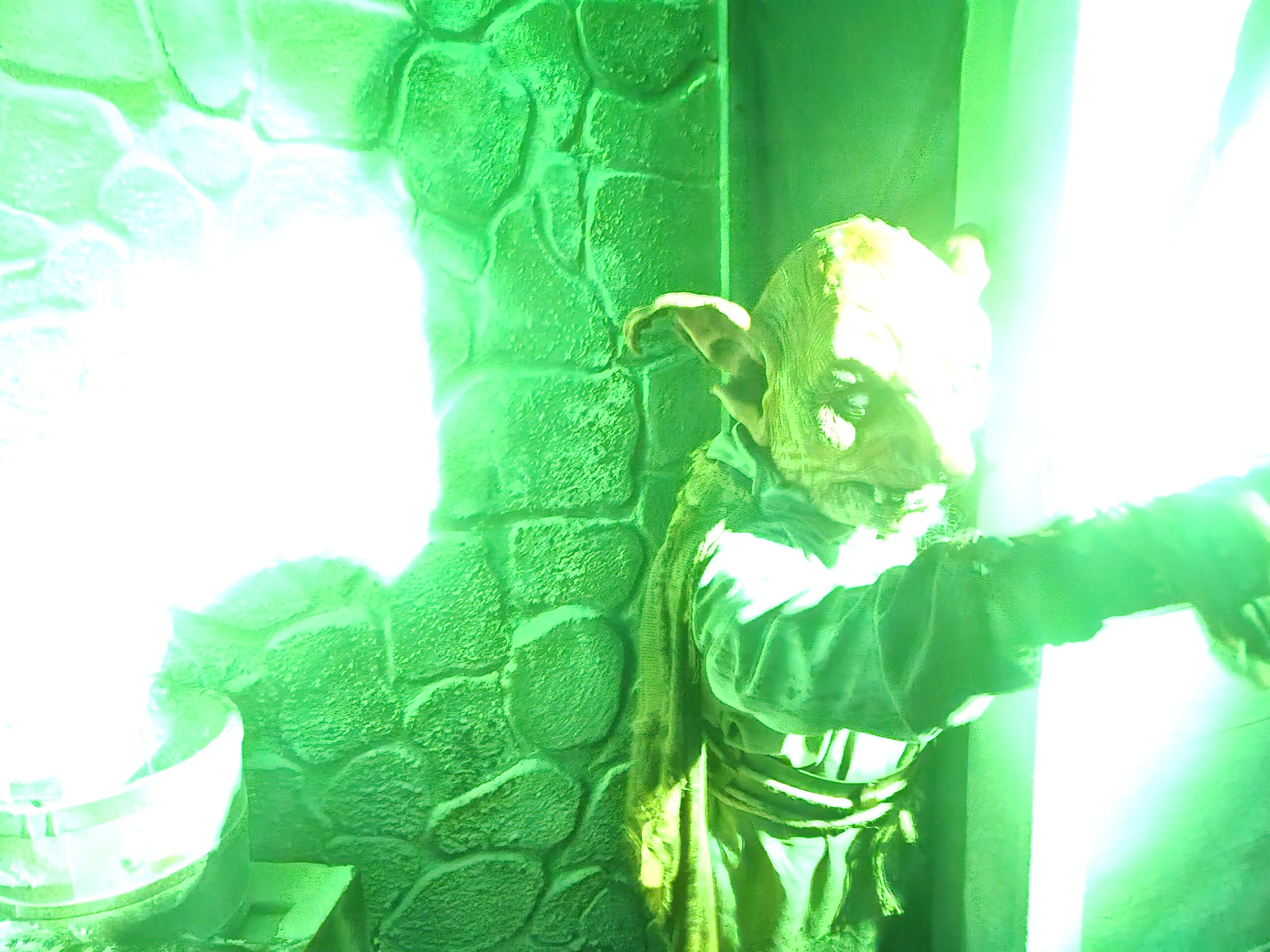 Casa “The Museum: Deadly Exhibits”