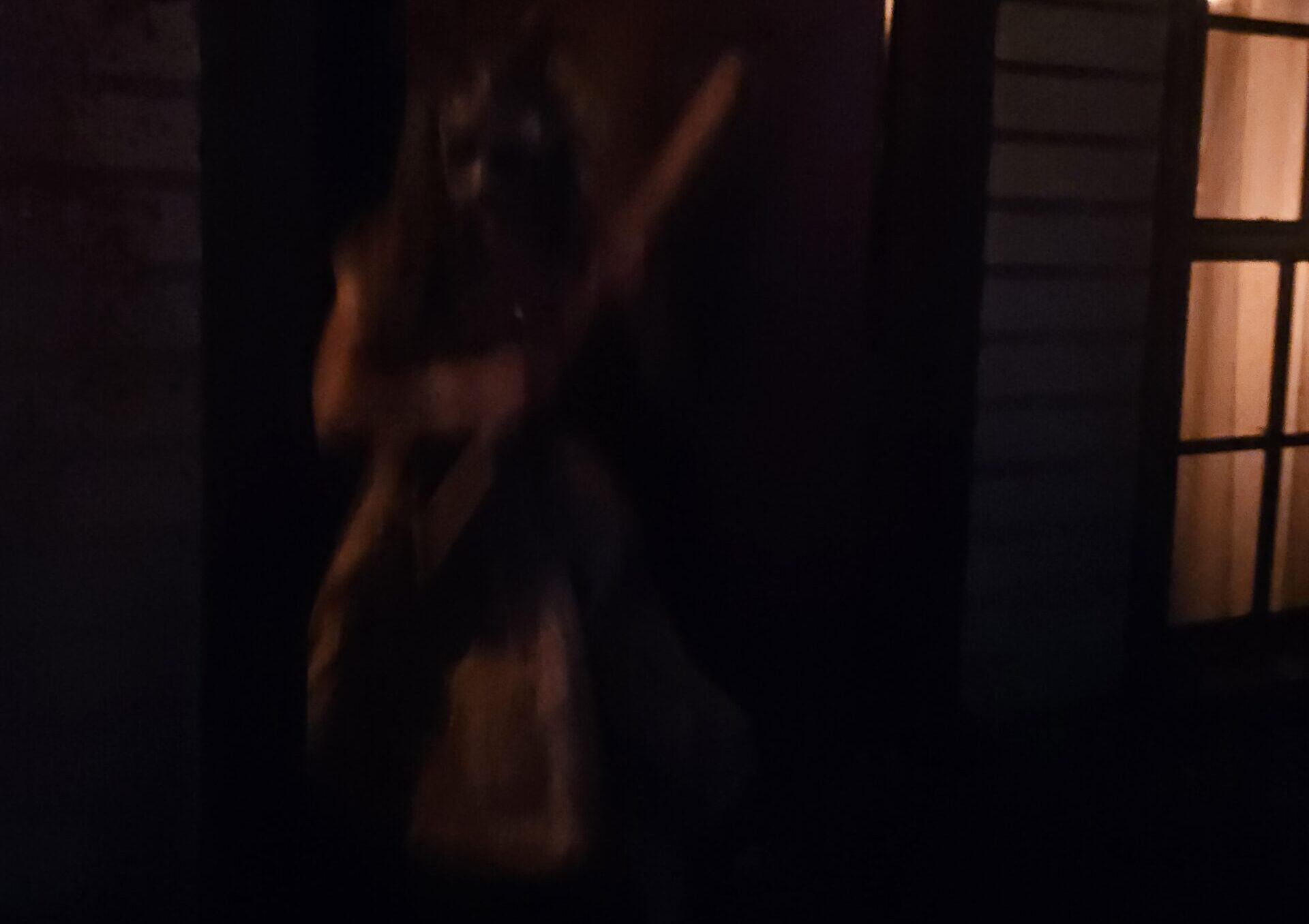 Casa “Triplets of Terror”