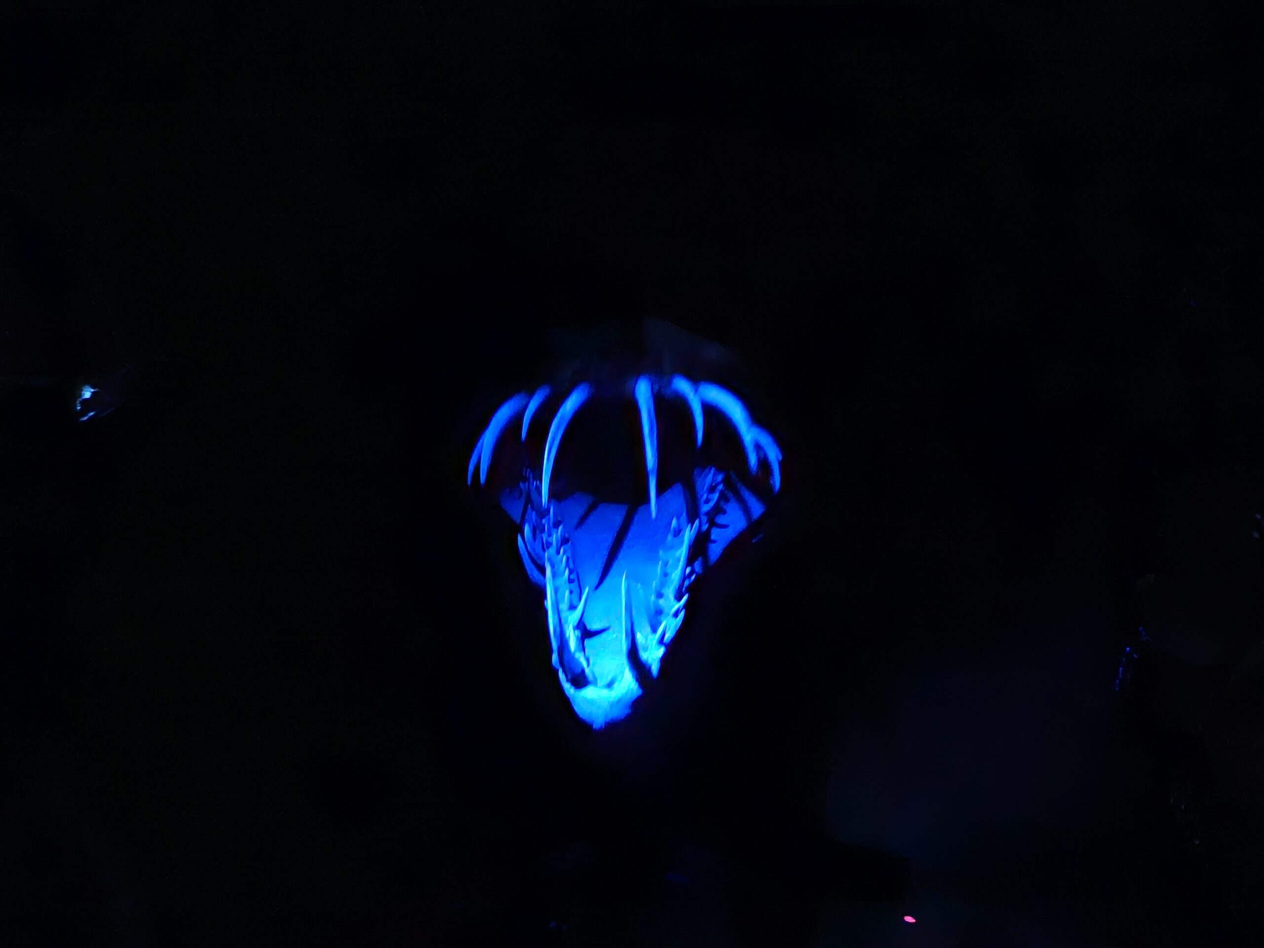 Casa “Ghostbusters: Frozen Empire”