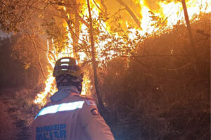 Bombeiros reforçam combate a incêndio na vegetação da Serra do Cipó (Divulgação_ CBMMG)_