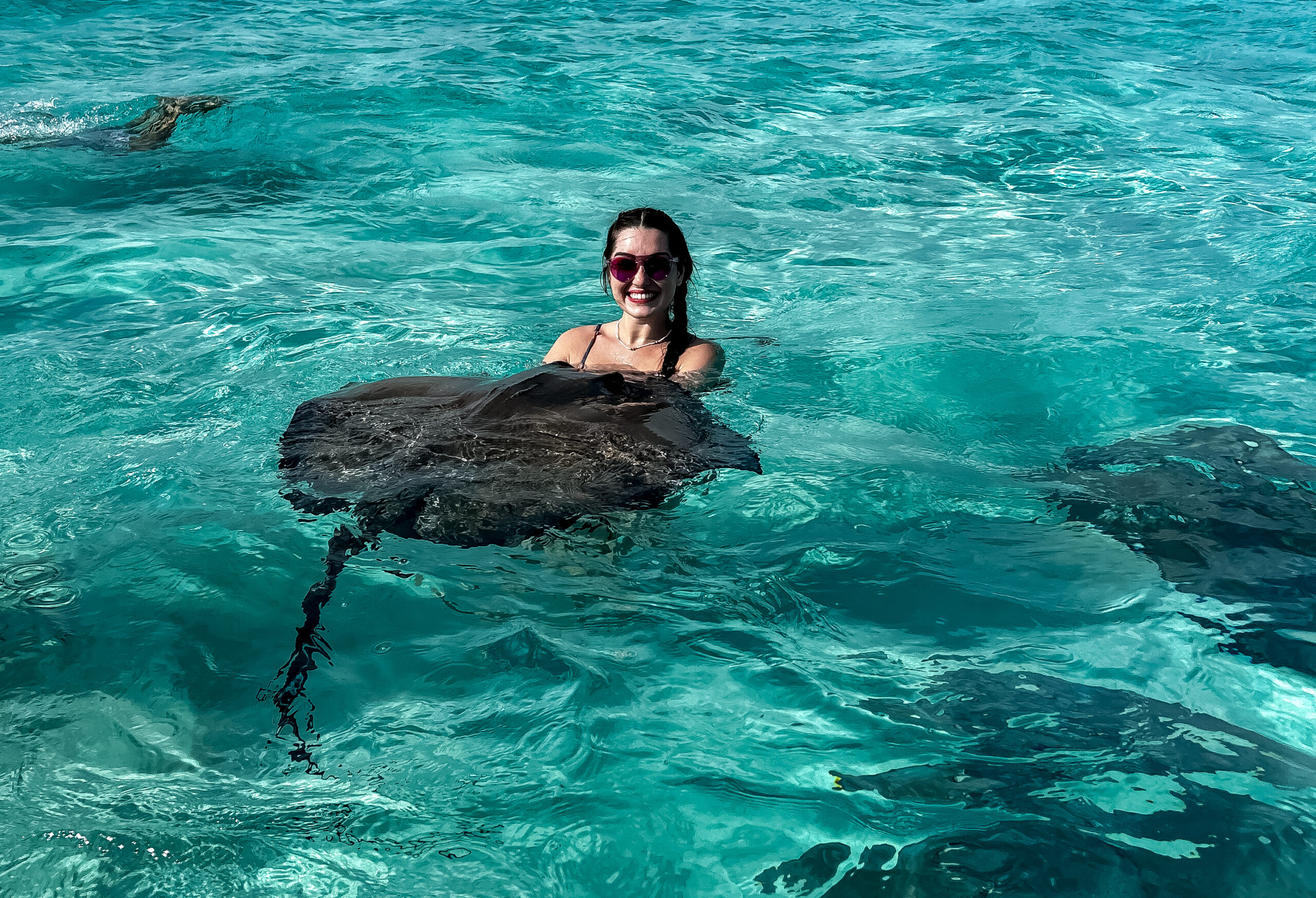 Em Stingray City, o nado com arraias proporciona uma experiência inesquecível Em Stingray City, o nado com arraias proporciona uma experiência inesquecível