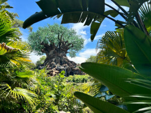 Disney