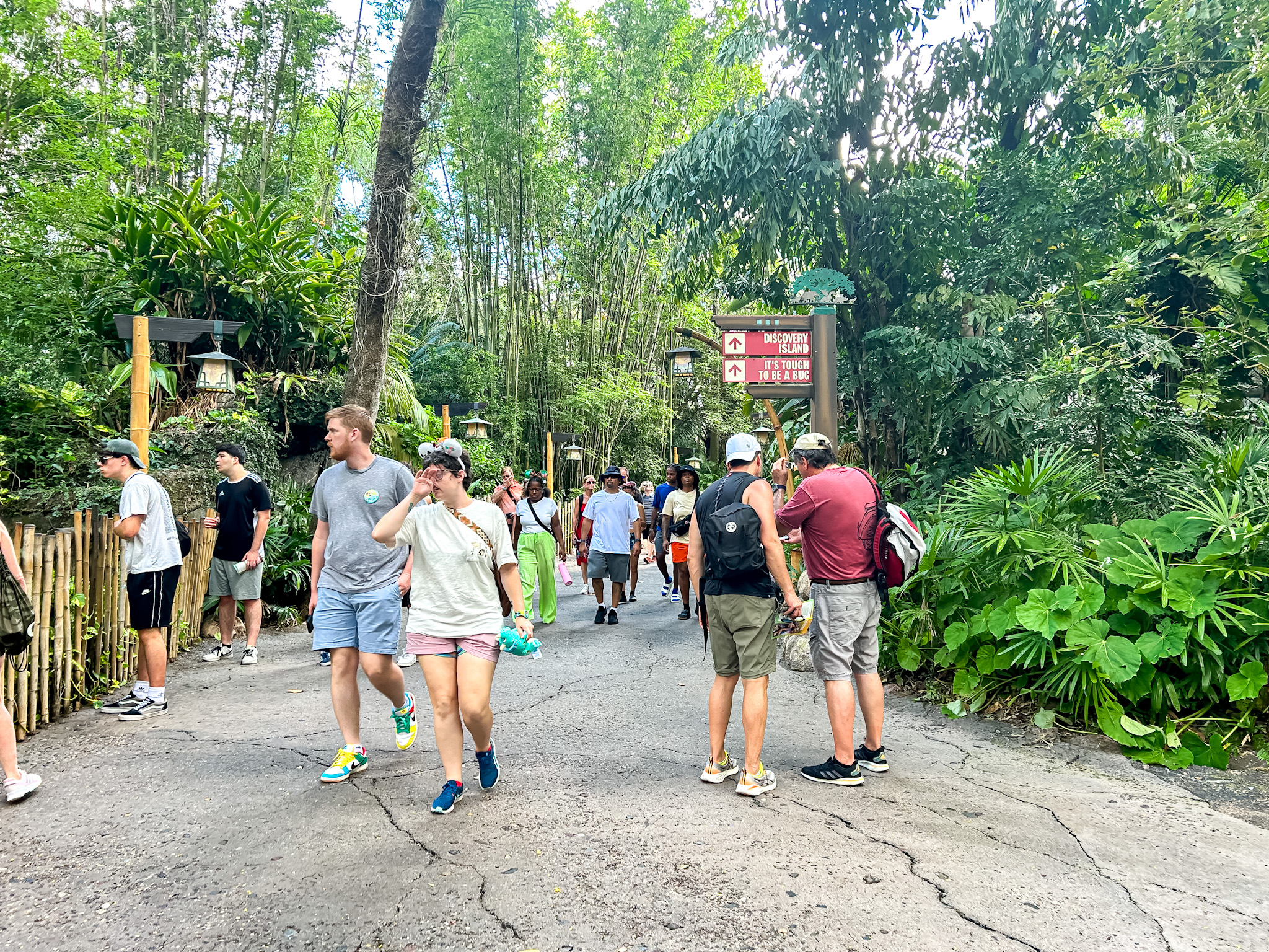 O Animal Kingdom é ambientado na selva de vários continentes O Animal Kingdom é ambientado na selva de vários continentes