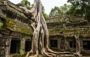 Parque Arqueológico de Angkor (Unsplash/Daniel Lienert)