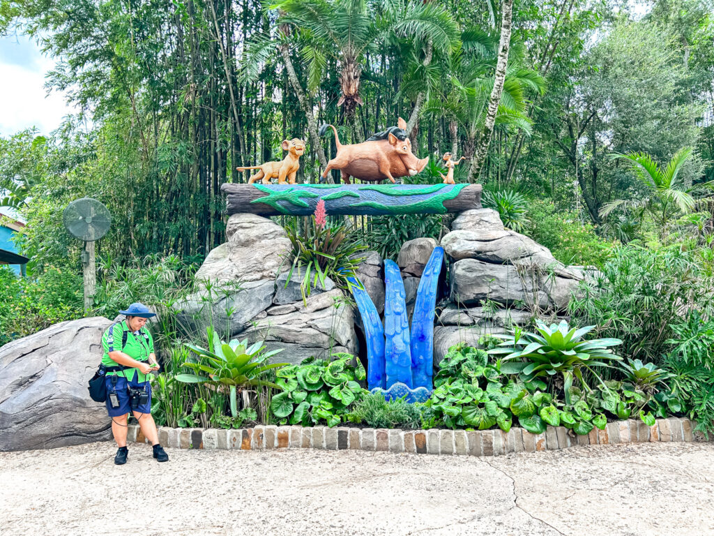 Pontos para fotografia estão espalhados pelos parques da Disney