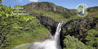 Parque Nacional da Chapada dos Veadeiros (GO) continua aberto à visitação 1 111 Parque Nacional da Chapada dos Veadeiros (GO) continua aberto à visitação