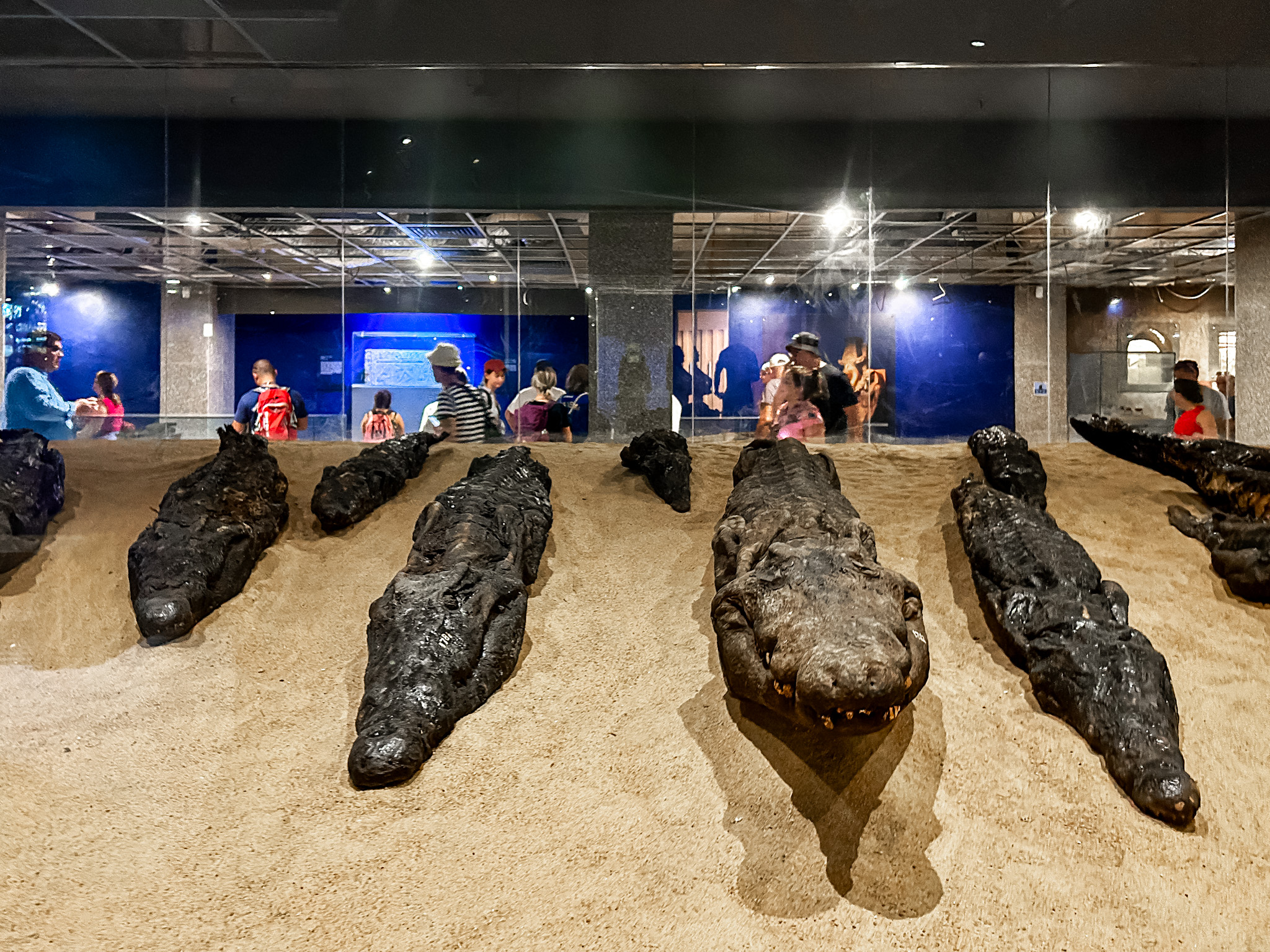 A cada ciclo de cheia do Rio Nilo, um crocodilo subia pelo poço do templo, que está conectado a essa fonte de água A cada ciclo de cheia do Rio Nilo, um crocodilo subia pelo poço do templo, que está conectado a essa fonte de água