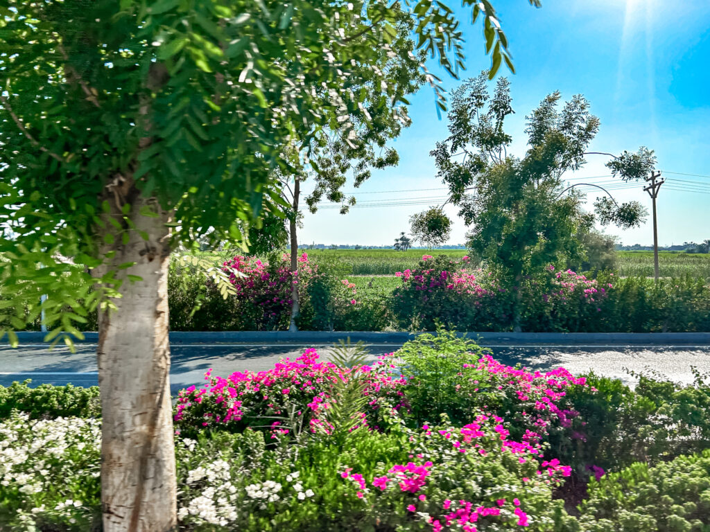 A paisagem de Luxor é arborizada, com diversas flores e campos verdes