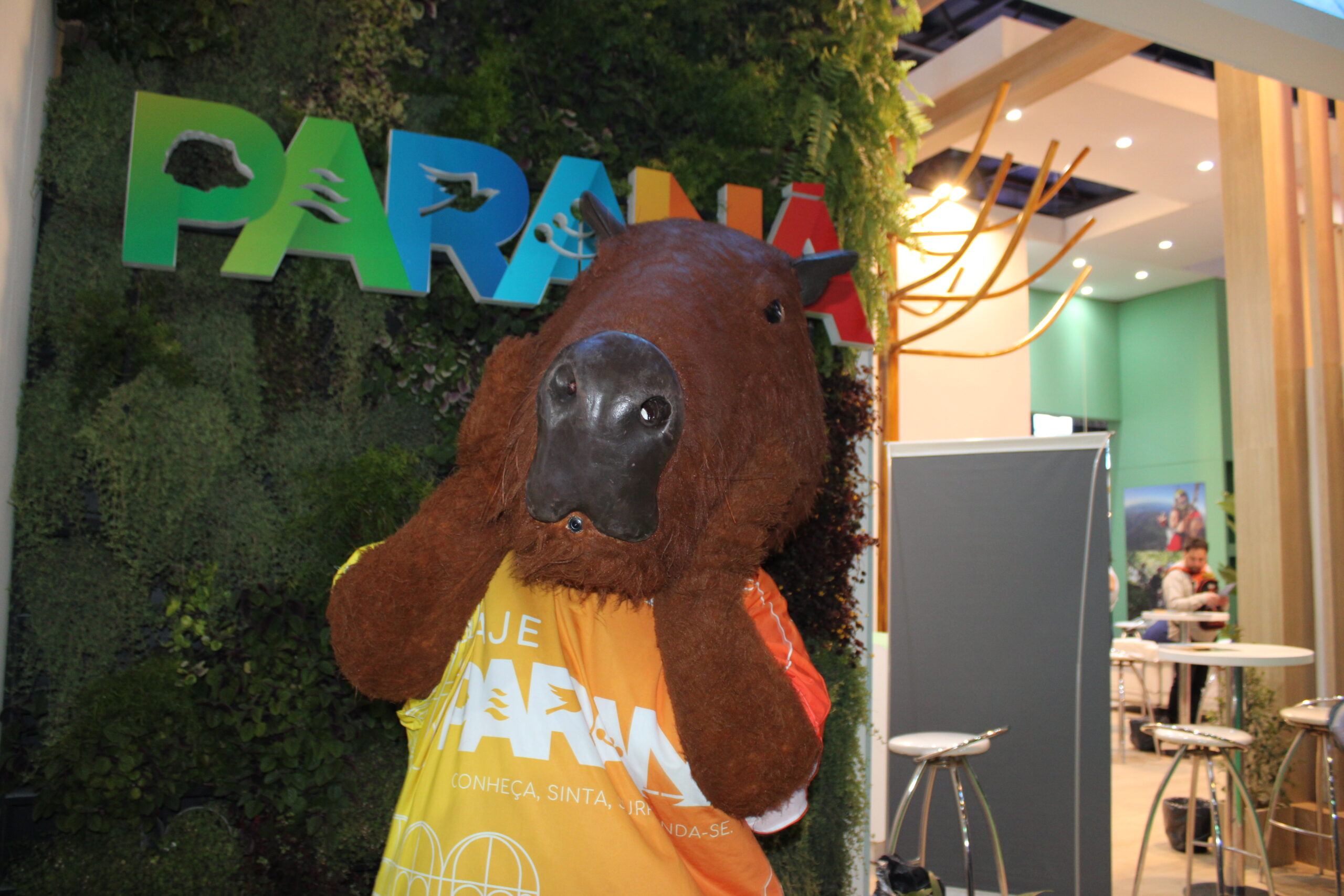 Ativação do Paraná contou com a preseça do mascote Capivara Ativação do Paraná contou com a preseça do mascote Capivara