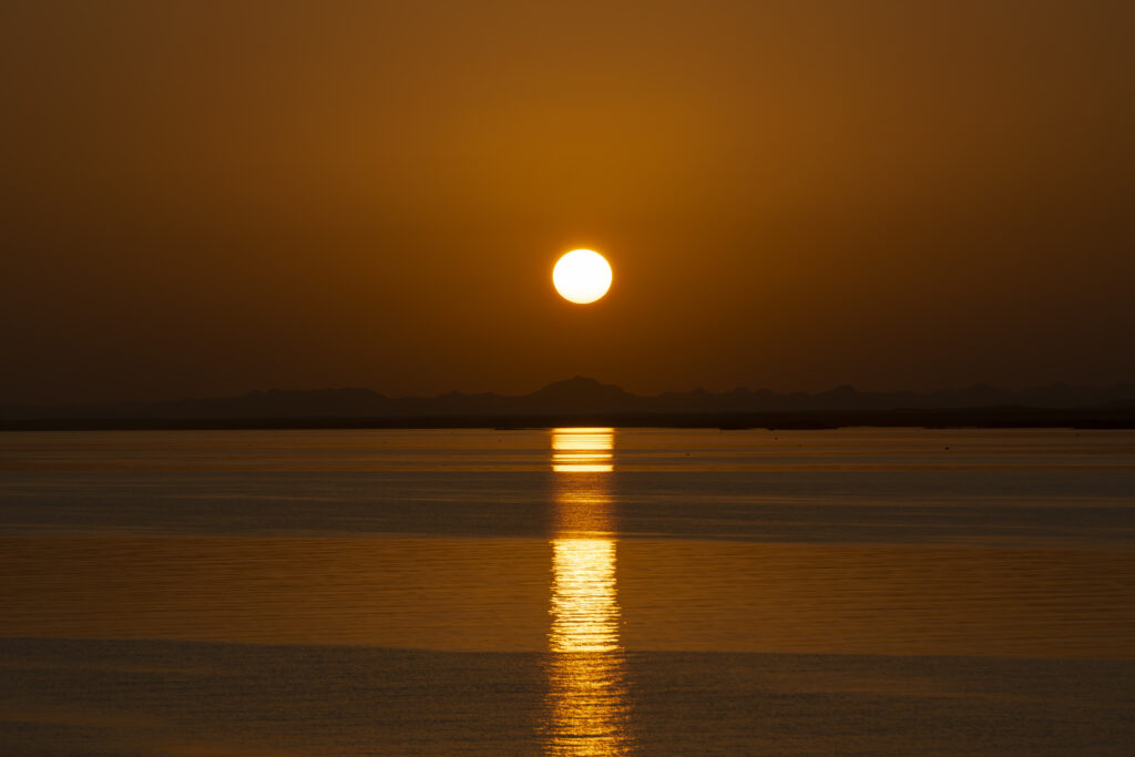 O grupo percorreu o deserto do Saara durante três horas para ver o sol nascer O grupo percorreu o deserto do Saara durante três horas para ver o sol nascer