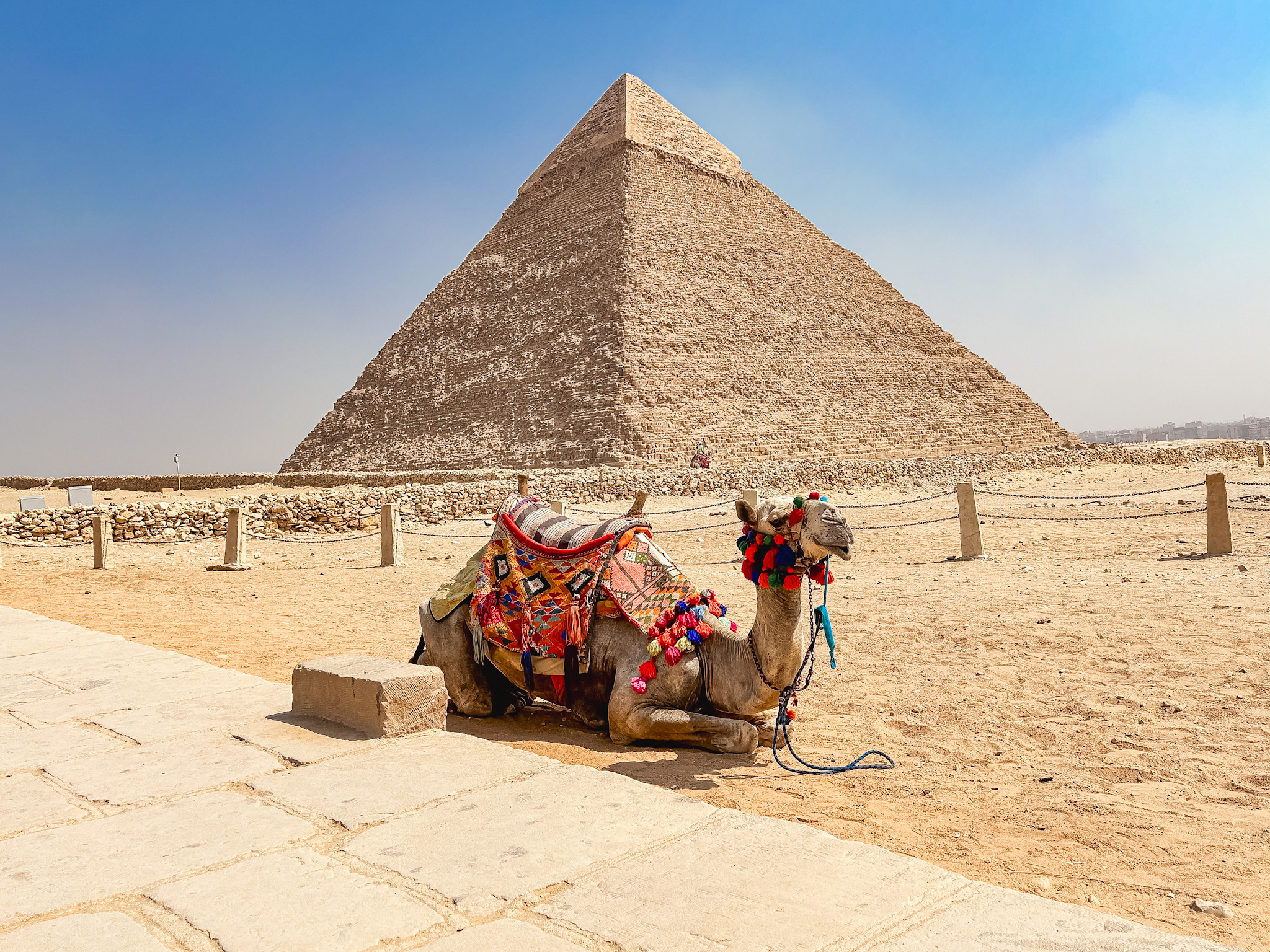 Os turistas que se interessarem, podem fazer fotos com camelos pagando aos seus proprietários Os turistas que se interessarem, podem fazer fotos com camelos pagando aos seus proprietários