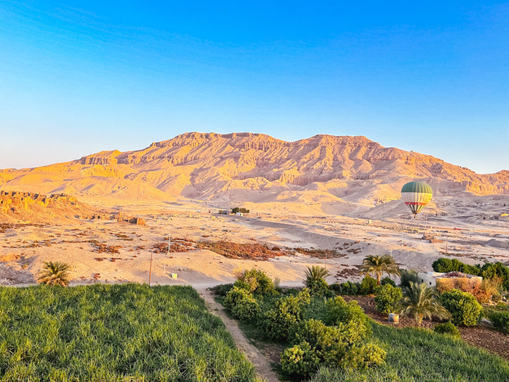 Plantações de cana-de-açúcar contrastam com a aridez do deserto