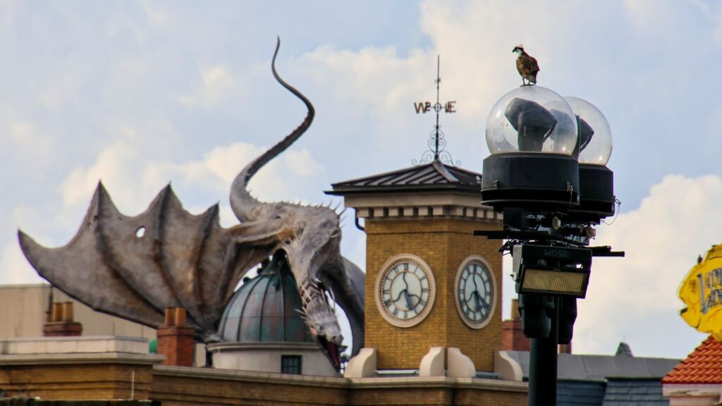 Detalhes da área de Harry Potter no novo parque (@bioreconstruct)