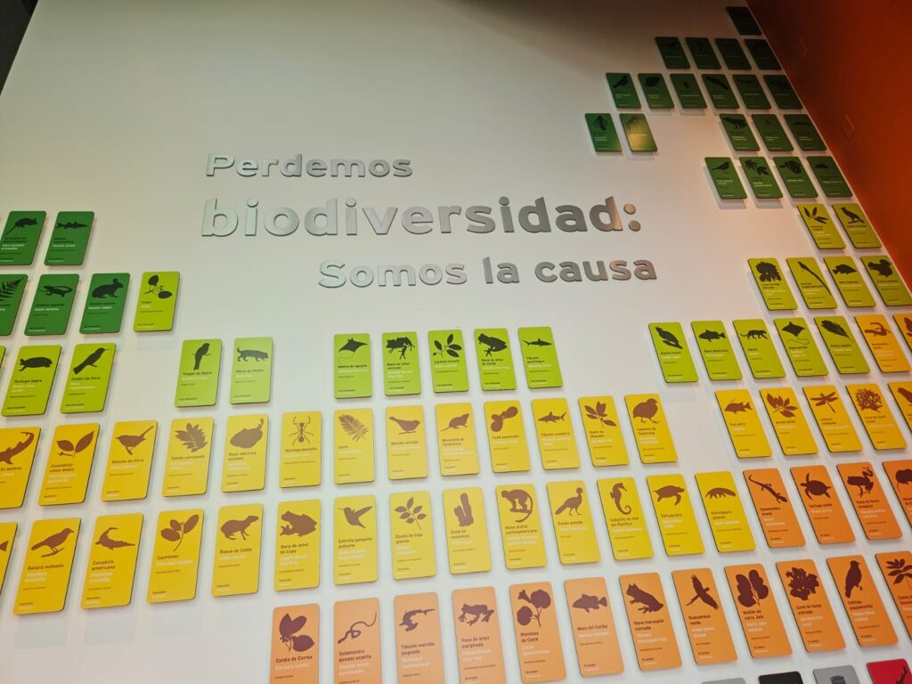 Panamá Travel Mart 2024 tem início com tour por atrativos na capital; veja fotos Panamá Travel Mart 2024 tem início com tour por atrativos na capital; veja fotos