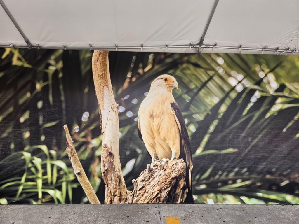 Panamá Travel Mart 2024 tem início com tour por atrativos na capital; veja fotos Panamá Travel Mart 2024 tem início com tour por atrativos na capital; veja fotos