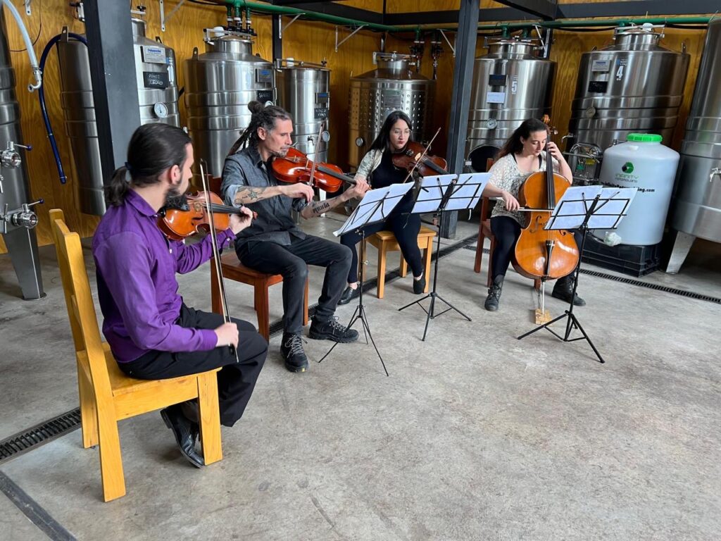 Apresentação de música clássica