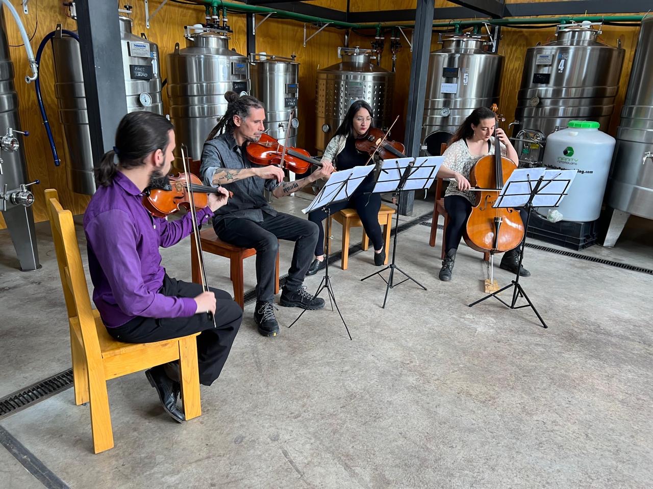 Apresentação de música clássica Apresentação de música clássica
