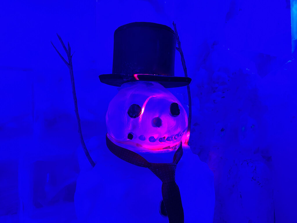 Dentro do Ice Bar já esculturas diversas como decoração Dentro do Ice Bar já esculturas diversas como decoração